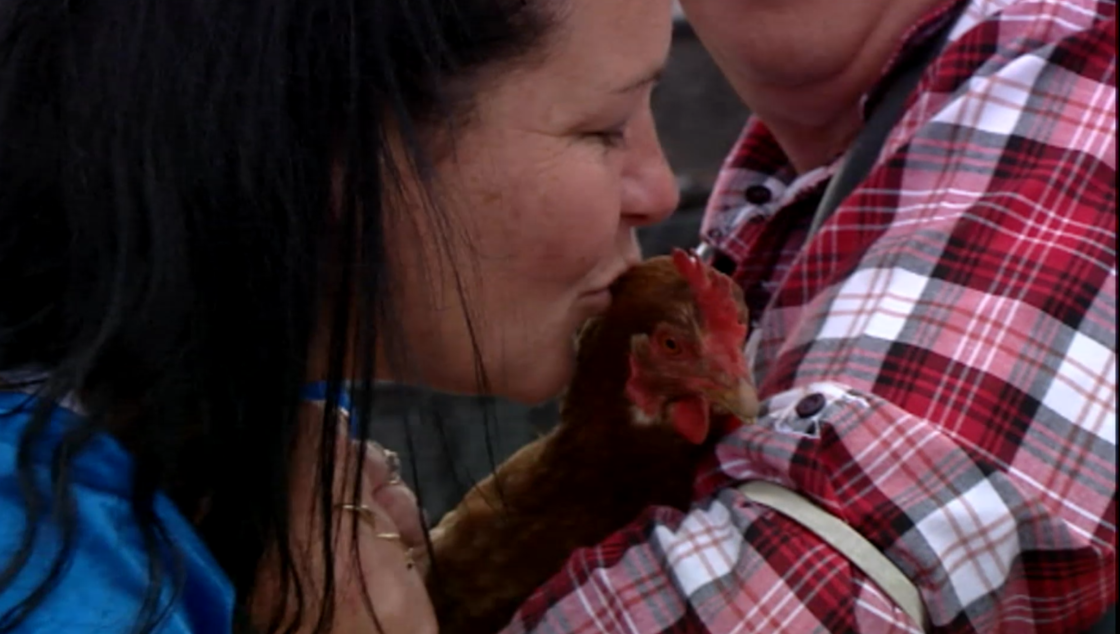 IRISH HEN HIGHTS – OPENER